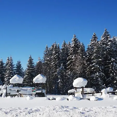 Apartment Haus Bergwelt *